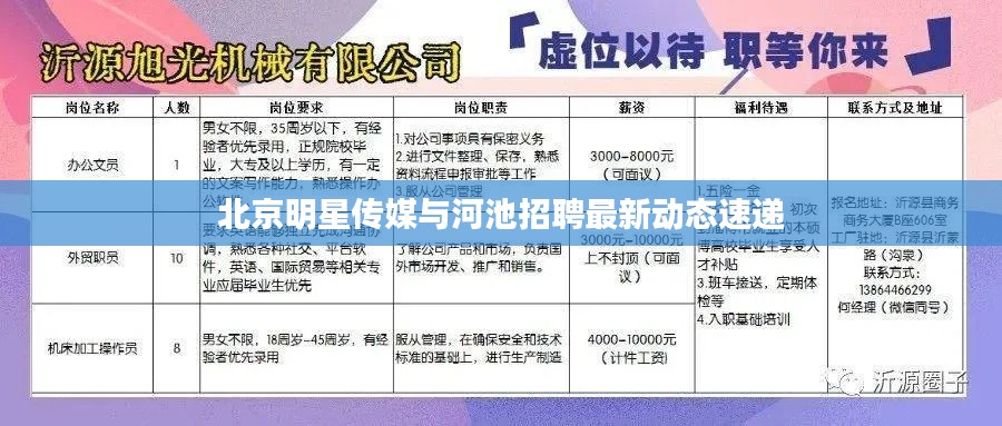 北京明星传媒与河池招聘最新动态速递