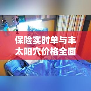 保险实时单与丰太阳穴价格全面解读,明智决策指南