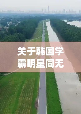 关于韩国学霸明星同无为大堤最新消息的综合解析