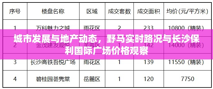 城市发展与地产动态，野马实时路况与长沙保利国际广场价格观察