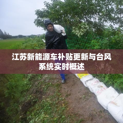 江苏新能源车补贴更新与台风系统实时概述
