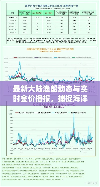 最新大陆渔船动态与实时金价播报，捕捉海洋与市场双重动态
