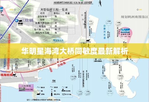 华明星海湾大桥同敏度最新解析