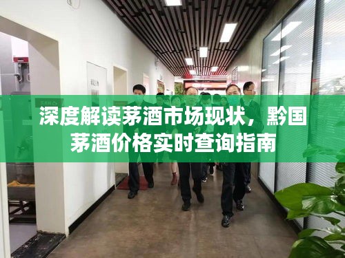 深度解读茅酒市场现状，黔国茅酒价格实时查询指南