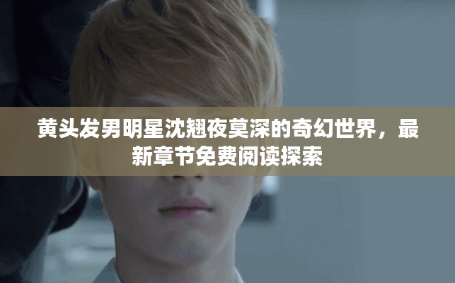 黄头发男明星沈翘夜莫深的奇幻世界，最新章节免费阅读探索