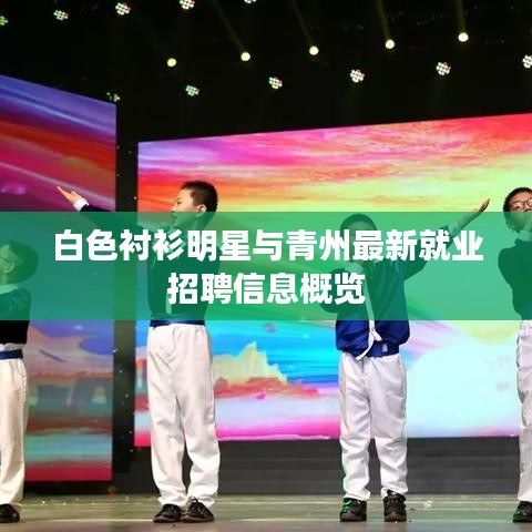 白色衬衫明星与青州最新就业招聘信息概览