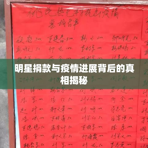 明星捐款与疫情进展背后的真相揭秘