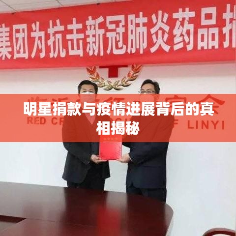 明星捐款与疫情进展背后的真相揭秘