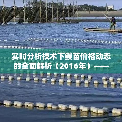 实时分析技术下鳗苗价格动态的全面解析（2016年）——正反两面观点与平衡探讨
