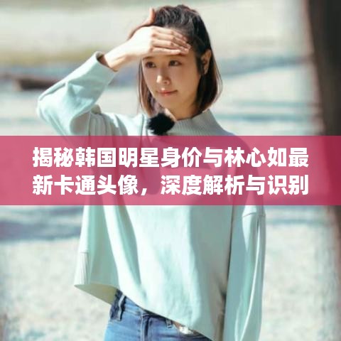 揭秘韩国明星身价与林心如最新卡通头像,深度解析与识别防范虚假宣传