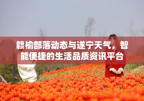 赣榆部落动态与遂宁天气，智能便捷的生活品质资讯平台