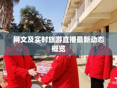 网文及实时旅游直播最新动态概览