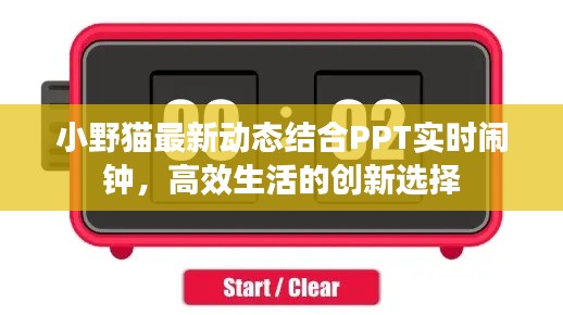 小野猫最新动态结合PPT实时闹钟,高效生活的创新选择