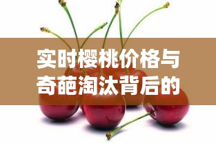 实时樱桃价格与奇葩淘汰背后的市场波动与娱乐热潮解析