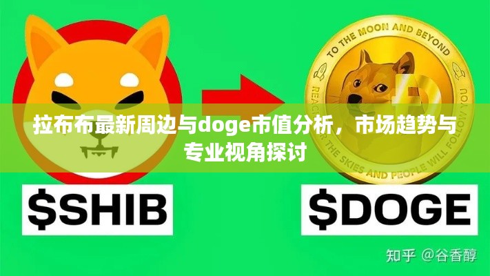 拉布布最新周边与doge市值分析,市场趋势与专业视角探讨