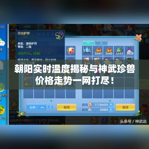 朝阳实时温度揭秘与神武珍兽价格走势一网打尽！