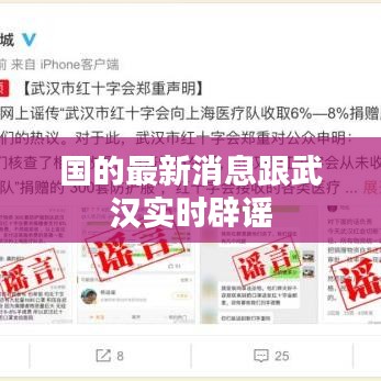 国的最新消息跟武汉实时辟谣