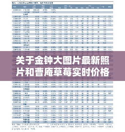 关于金钟大图片最新照片和曹庵草莓实时价格的解析