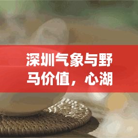 深圳气象与野马价值，心湖微澜的散文探索