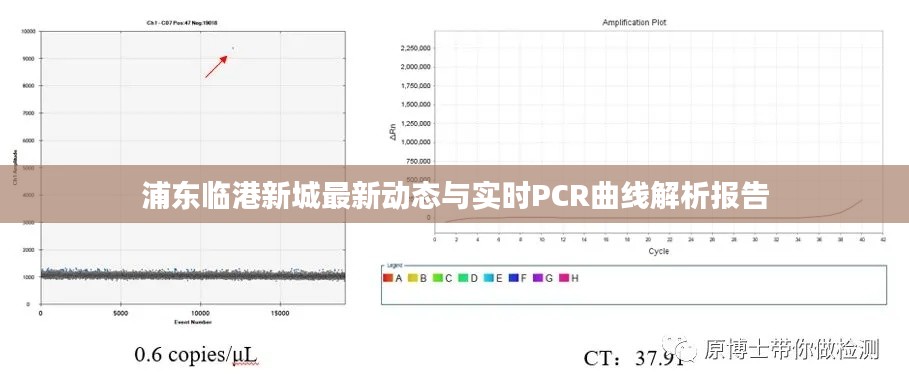 浦东临港新城最新动态与实时PCR曲线解析报告