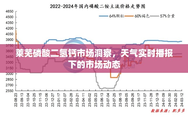 莱芜磷酸二氢钙市场洞察,天气实时播报下的市场动态