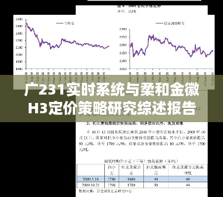 广231实时系统与柔和金徽H3定价策略研究综述报告,策略分析与研究综述