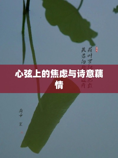 心弦上的焦虑与诗意藕情