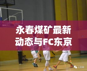永春煤矿最新动态与FC东京赛场实时比分速递