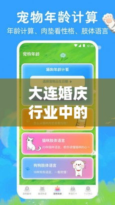 大连婚庆行业中的实时翻译手机插件应用与价格透视