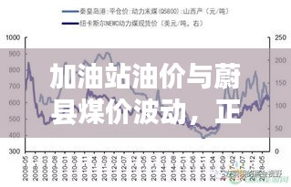 加油站油价与蔚县煤价波动,正反论述与平衡观点探讨