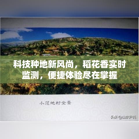科技种地新风尚,稻花香实时监测,便捷体验尽在掌握