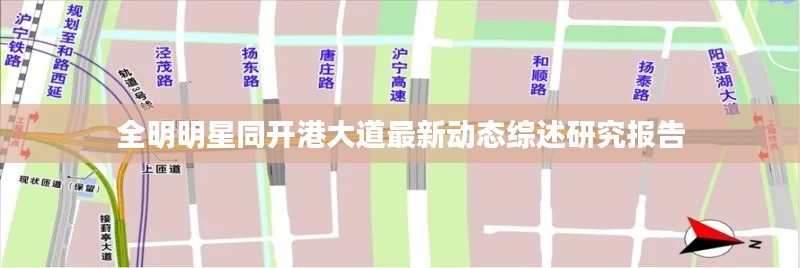 全明明星同开港大道最新动态综述研究报告