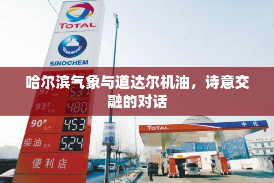哈尔滨气象与道达尔机油,诗意交融的对话
