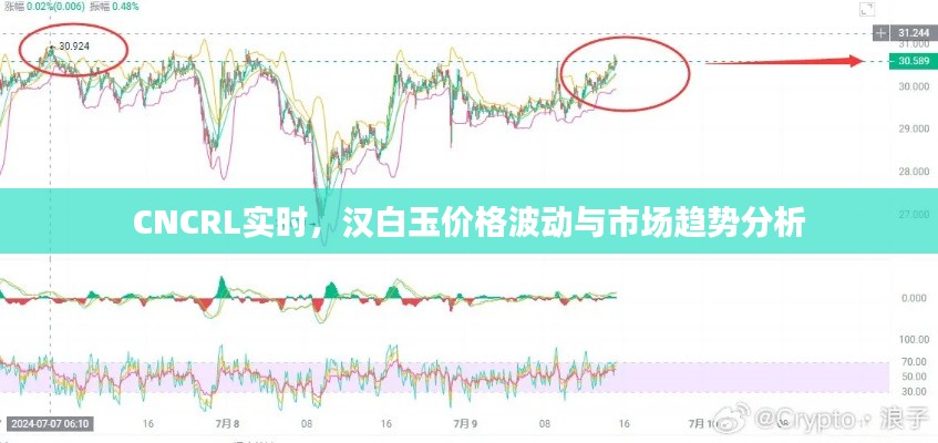 CNCRL实时,汉白玉价格波动与市场趋势分析