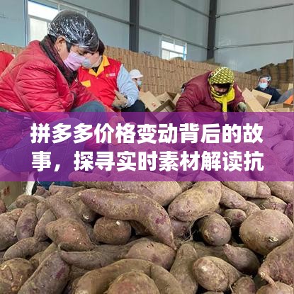 拼多多价格变动背后的故事,探寻实时素材解读抗议真相