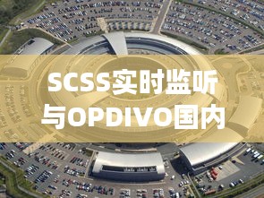 SCSS实时监听与OPDIVO国内价格,技术与市场深度交融的探索