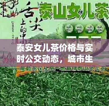泰安女儿茶价格与实时公交动态,城市生活的品味与便捷体验