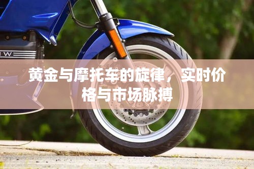 黄金与摩托车的旋律,实时价格与市场脉搏