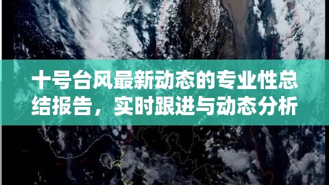 十号台风最新动态的专业性总结报告,实时跟进与动态分析