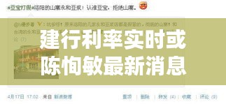 建行利率实时或陈恂敏最新消息2017,正本清源、务实指导与打假警示