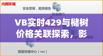 VB实时429与槠树价格关联探索,影响及互动关系解析