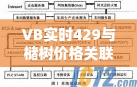 VB实时429与槠树价格关联探索,影响及互动关系解析