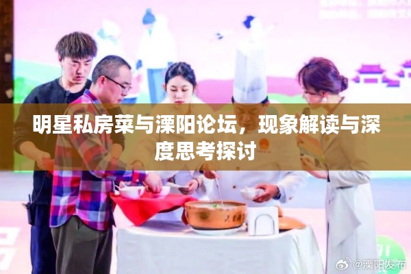明星私房菜与溧阳论坛，现象解读与深度思考探讨