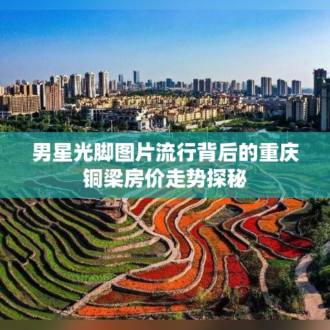 男星光脚图片流行背后的重庆铜梁房价走势探秘