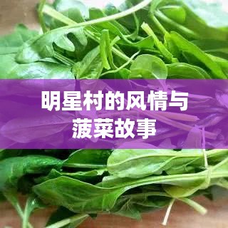 明星村的风情与菠菜故事