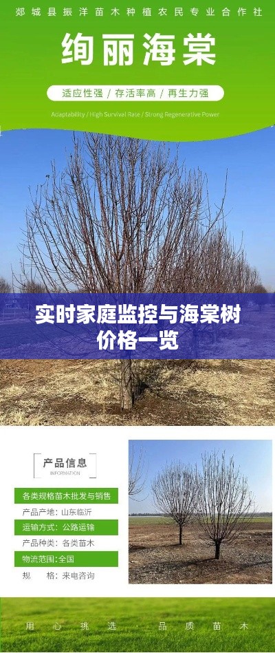 实时家庭监控与海棠树价格一览