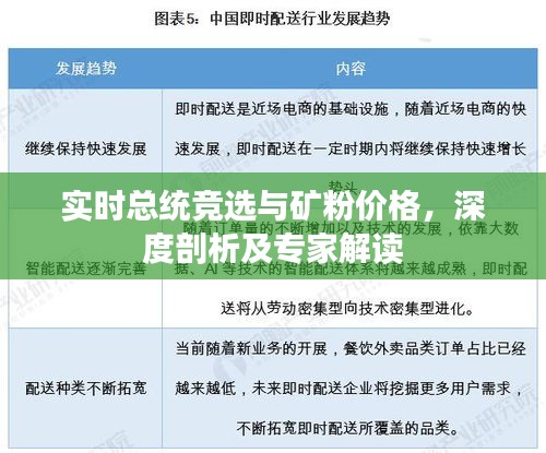 实时总统竞选与矿粉价格，深度剖析及专家解读
