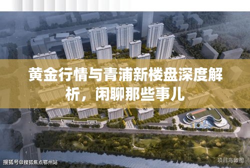 黄金行情与青浦新楼盘深度解析,闲聊那些事儿