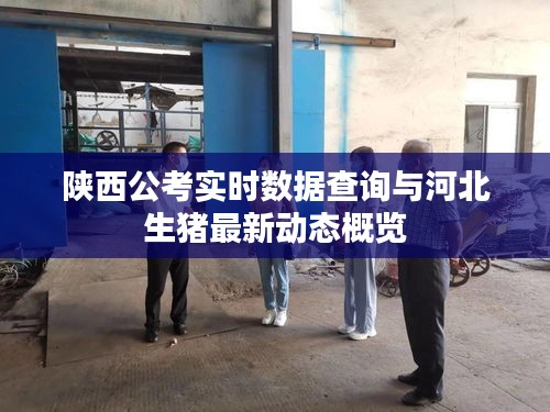 心得分享 第11页