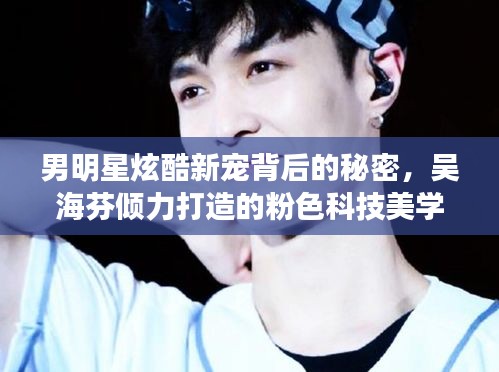 男明星炫酷新宠背后的秘密,吴海芬倾力打造的粉色科技美学背景墙,便捷生活尽在指尖